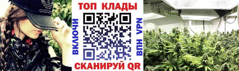 Где найти наркотики Дмитровск АМФЕТАМИН  СОЛЬ  блэк спрут как войти  Псилоцибиновые грибы  Бошки Шишки  Меф 