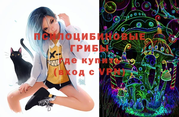 круглые Бородино