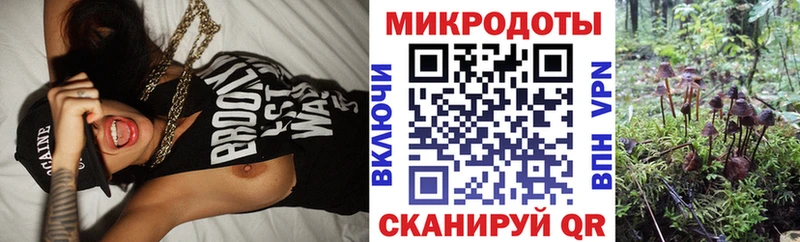 Галлюциногенные грибы MAGIC MUSHROOMS Дмитровск
